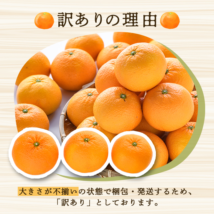 ＜2026年2月上旬以降順次発送予定＞訳あり！紅甘夏(10kg) 国産 紅甘夏 柑橘 果物 フルーツ デザート 果実 期間限定 数量限定 【古田果樹園】akn093-04