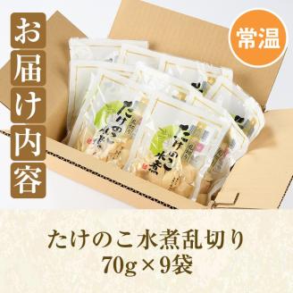 たけのこ水煮乱切り(計630g・70g×9袋)国産 九州産 筍 野菜 使い切り 小分け 個包装【上野食品】akn008-14