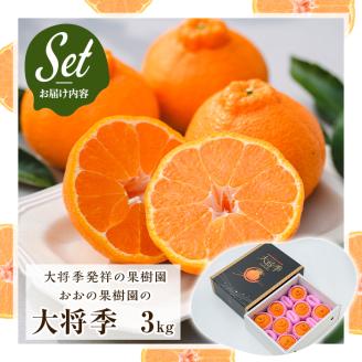 ＜2026年2月中旬以降順次発送予定＞数量限定！おおの果樹園の「大将季」(計3kg) 果物 フルーツ 果実 柑橘 ハウス栽培 無加温 みかん【おおの果樹園】akn087-03