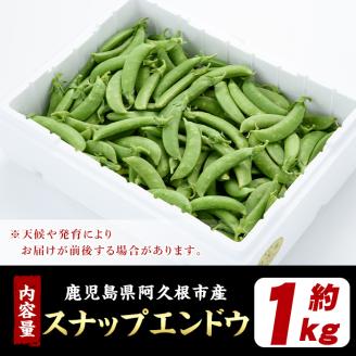 ＜2026年1月以降順次発送予定＞スナップエンドウ(1kg) 旬 国産 豆 マメ まめ 野菜 セット 詰め合わせ 数量限定 サラダ 炒め物【黒坂青果】akn049-01