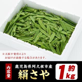 ＜2026年1月以降順次発送予定＞ご家庭用！訳あり！「絹さや」(1kg) 旬 国産 豆 マメ 絹さや 絹サヤ きぬさや 野菜 セット 詰め合わせ 訳アリ 数量限定 期間限定【黒坂青果】akn049-04