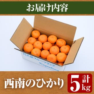 ＜2025年12月以降順次発送予定＞＜期間・数量限定＞西南のひかり(約5kg) 国産 鹿児島県 阿久根市 果実 果物 フルーツ 柑橘 みかん ミカン デザート 酸味 甘味 期間限定 数量限定【桐野柑橘株式会社】akn070-07