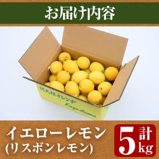 ＜2025年12月中旬以降順次発送予定＞数量限定！リスボンイエローレモン(5kg) 国産 果実 果物 リスボンレモン フルーツ 檸檬 柑橘 デザート 期間限定【桐野柑橘株式会社】akn070-15