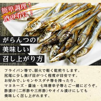 鹿児島県阿久根市産！生干しシリーズ(5種)国産 生干し おつまみ おかず 魚介 魚貝 海産物 干物 ひもの【マルフク川畑水産】akn029-03
