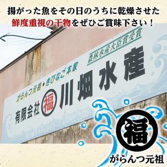 鹿児島県阿久根市産生干し「きびなご」(計5袋・1袋40g)国産 魚介 干物 ひもの キビナゴ がらんつ干物【マルフク川畑水産】akn029-04