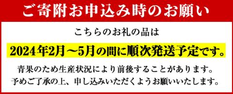 ＜2026年2月以降順次発送予定＞数量限定！鹿児島県産紅甘夏みかん(約10kg・28玉～32玉)国産 果物 フルーツ【鹿児島いずみ農業協同組合】akn018-05