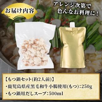 鹿児島県産黒毛和牛小腸使用！もつ鍋セット(約2人前分)国産 モツ モツ鍋 ホルモン 牛肉 出汁 醤油ベース 惣菜 おかず【和食処まきや】akn065-01