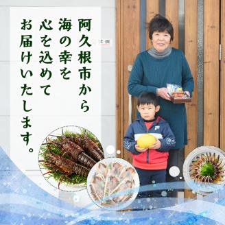 ＜2025年5月以降順次発送予定＞海藻「とさかのり」(50g×8袋)国産 鹿児島県産 海藻 おかず 料理 小分け 個包装 乾物【福美丸水産】akn033-02