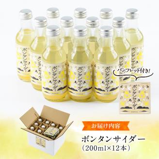 ボンタンサイダー(12本)一つ一つ手作業で皮を剥き、果汁をしぼり仕上げました！ぼんたん ボンタン 文旦 サイダー ジュース 飲み物 飲料 果汁 フルーツ 果物 炭酸【ボンタンプロジェクト】akn055-01