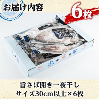 旨さば開き一夜干し(サイズ30cm以上×6枚)国産 サバ 鯖 干物 ひもの 魚介 乾物 おかず おつまみ【マルフク川畑水産】akn029-10