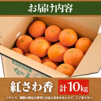 ＜2026年1月上旬以降順次発送＞数量限定！紅さわ香(10kg) 国産 鹿児島県 阿久根市 果実 果物 フルーツ 柑橘 紅甘夏 みかん ミカン 期間限定 数量限定【桐野柑橘株式会社】akn070-03