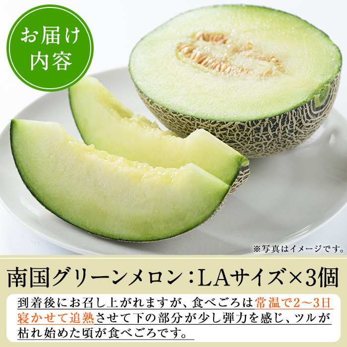 ＜2026年6月中旬以降順次発送予定＞数量限定！鹿児島県産南国グリーンメロン(LAサイズ×3個) メロン フルーツ 果物 鹿児島 国産 青肉 期間限定 LA【東新グリーンファーム合同会社】akn062-09