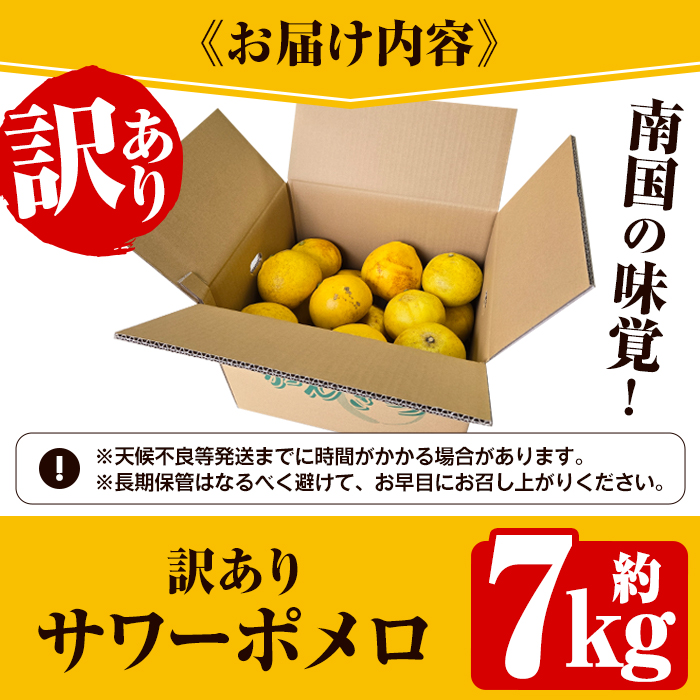 ＜2026年2月下旬以降発送予定＞＜訳あり・傷あり＞数量限定！サワーポメロ(約7kg) 国産 フルーツ 果物 柑橘類 サワーポメロ 甘味 酸味 デザート おやつ 訳あり【なかむら果樹園】akn014-01