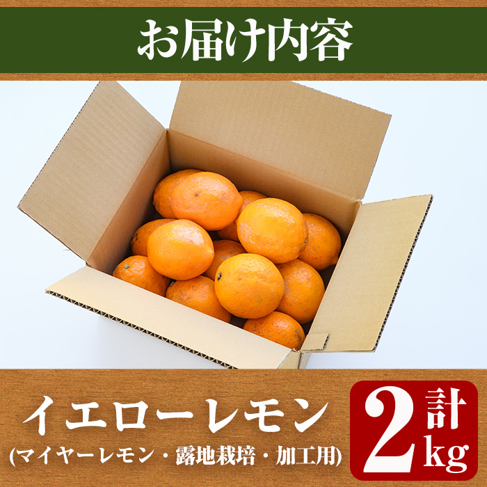 ＜2026年1月中旬以降順次発送予定＞数量限定！加工用・露地マイヤーイエローレモン(2kg) 国産 果実 果物 レモン イエローレモン フルーツ 檸檬 柑橘 デザート 期間限定【桐野柑橘株式会社】akn070-02