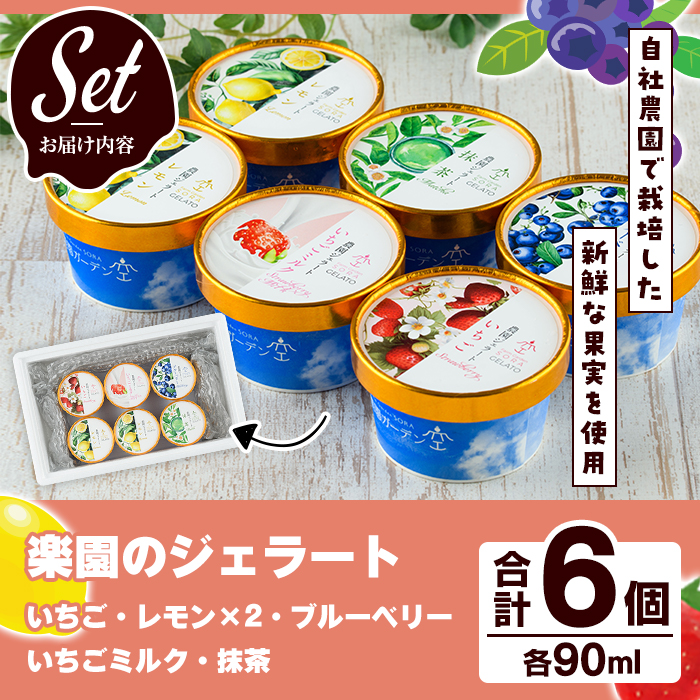 農園ガーデン空 楽園のジェラートセット(90ml×6個) ジェラート アイス いちご いちごミルク レモン ブルーベリー 抹茶 デザート スイーツ おやつ 夏 鹿児島 バラエティ バレンタイン ホワイトデー【農園ガーデン空】akn026-12