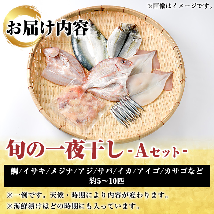 数量限定！阿久根市産の旬の一夜干しグルメ＜A＞セット(鯛・アジ・イカ・サバなど)国産 鮮魚 詰め合わせ お楽しみ 海の幸 魚介類 干物 海鮮【さるがく水産】akn028-06
