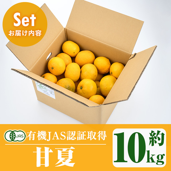 ＜2026年2月上旬以降発送予定＞数量限定！有機JAS 甘夏(約10kg) 国産 果実 果物 フルーツ 柑橘 デザート 期間限定 有機栽培【中村農場】akn084-05