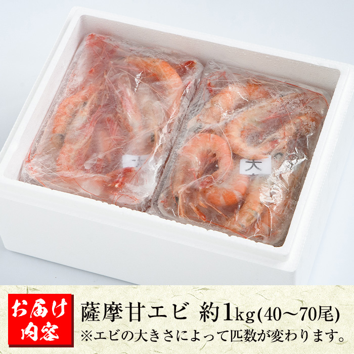 数量限定！鹿児島県阿久根産 薩摩甘エビ(約1kg・40～70尾) 国産 阿久根市産 えび 海老 急速冷凍 冷凍配送 魚貝類 魚介類 海産物 【濱崎魚類】akn023-05