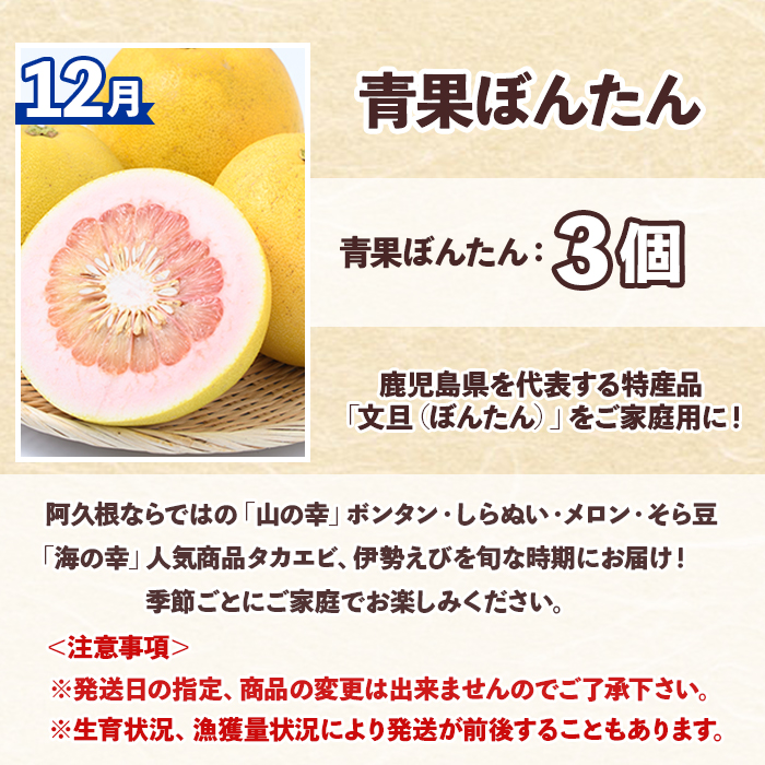 ＜定期便・全6回(偶数月)＞阿久根市の山の幸・海の幸！不知火・そら豆・タカエビ・メロン・伊勢えび・ぼんたんなど)国産 柑橘 みかん フルーツ 果物 魚介 頒布会【松永青果】akn053-38