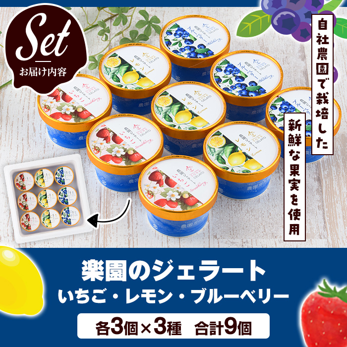 楽園のジェラート3種セット(合計9個) スイーツ デザート おやつ ジェラート アイス 夏 いちご レモン ブルーベリー 自社農園【農園ガーデン空】akn026-05