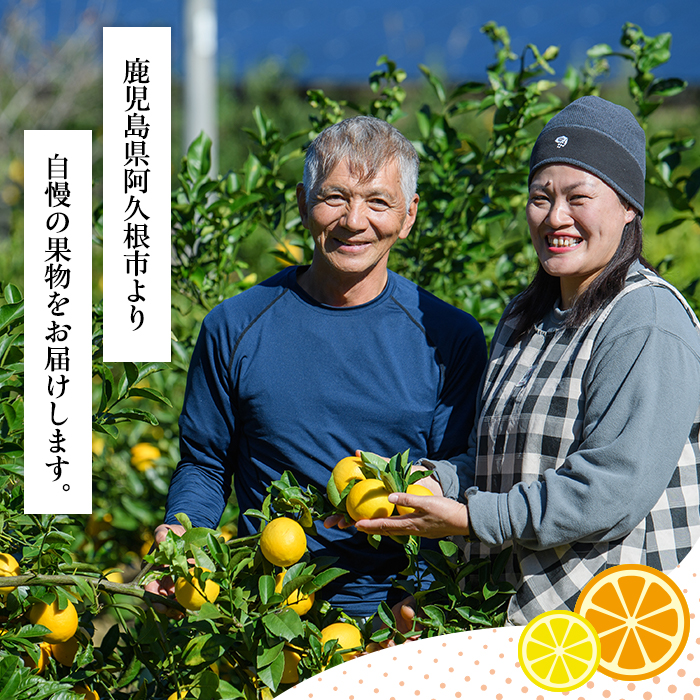 ＜2025年12月中旬以降順次発送予定＞数量限定！露地マイヤーイエローレモン(5kg) 国産 檸檬 イエローレモン オレンジ 果実 果物 フルーツ 柑橘【桐野柑橘株式会社】akn070-11