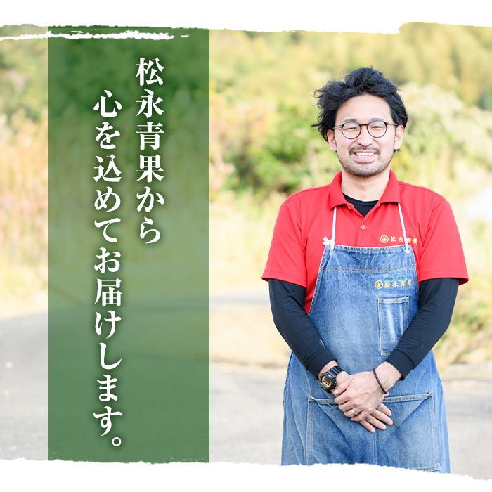 ＜2026年5月上旬以降順次発送予定＞鹿児島県産 味平かぼちゃ(約5kg) 国産 野菜 かぼちゃ カボチャ 南瓜 煮物 天ぷら バーベキュー BBQ スイーツ お菓子【松永青果】akn053-24