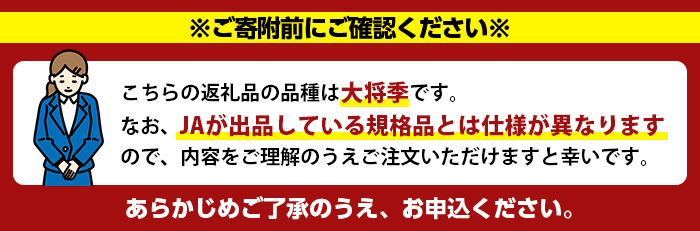 ＜2026年4月上旬以降順次発送予定＞数量限定！冷蔵不知火「クールな大将季」(計約3kg) 国産 みかん ミカン 柑橘 フルーツ 果物 旬 デザート 数量限定 阿久根市産 露地 しらぬい シラヌイ 冷蔵 期間限定 クール【三笠農業生産】akn051-06