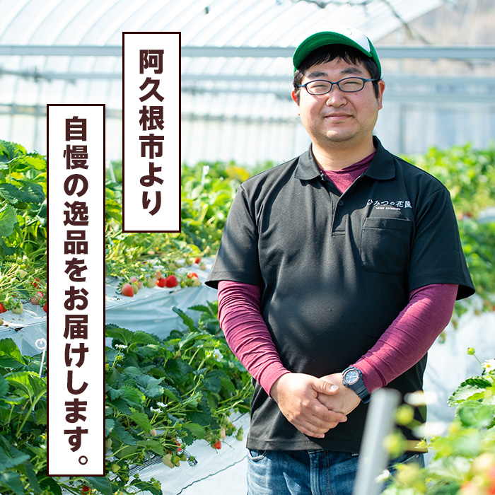 ＜数量限定＞阿久根市産レモン使用！レモンクラフトビール(330ml×6本) お酒 アルコール クラフトビール 果物 フルーツ レモン れもん 檸檬 飲料 飲み物 ドリンク フルーティー ビール【農園ガーデン空】akn026-08