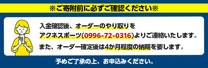＜軟式＞Wilson 軟式フルオーダーグローブ(一式) 阿久根市 特産品 スポーツ グラブ オーダー 野球 職人 オーダーメイド 子ども【アクネスポーツ】akn021-04