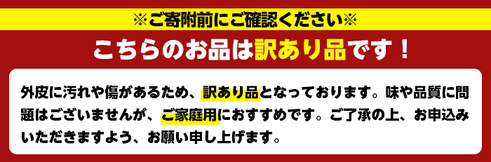 ＜2026年2月以降順次発送予定＞＜訳あり・不揃いの為＞数量限定！無加温ハウス不知火(5kg) 国産 鹿児島県 阿久根市 果実果物 フルーツ 柑橘 みかん ミカン 期間限定 数量限定【桐野柑橘株式会社】akn070-12