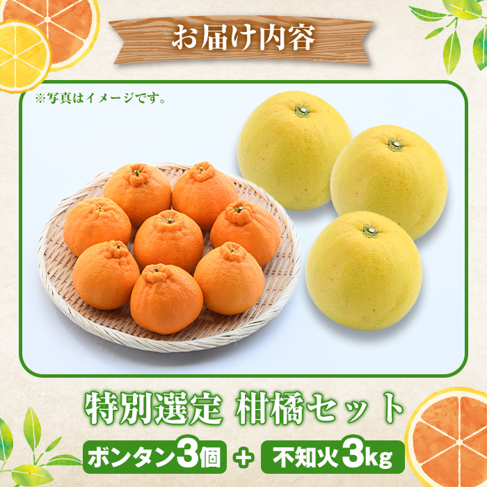 ＜2026年1月以降順次発送予定＞鹿児島県阿久根市産！特別選定 柑橘セット(ボンタン3個・不知火3kg) 国産 果物 フルーツ かんきつ ノーワックス【松永青果】akn053-26