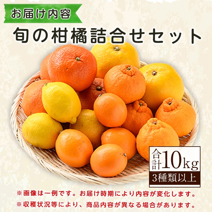 ＜2026年2月発送分！＞旬の柑橘詰合せセット (約10kg) 国産 鹿児島県 阿久根市 果実 果物 フルーツ 柑橘 みかん ミカン 旬 詰め合わせ セット【桐野柑橘株式会社】akn070-16-m02