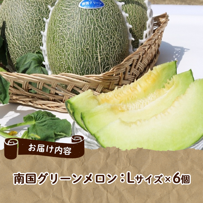 ＜2026年6月以降順次発送予定＞鹿児島県産！南国グリーンメロン(Lサイズ×6個) メロン めろん 果物 スイーツ デザート フルーツ 【あくね旬の店いきいき館】akn015-20