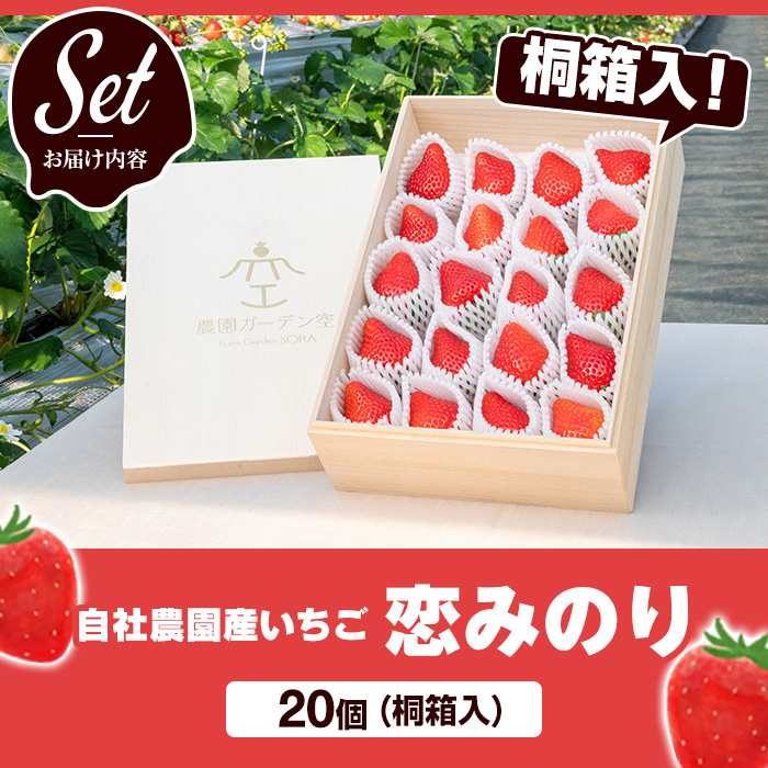 ＜2026年1月以降順次発送予定＞桐箱入！自社農園産いちご 恋みのり(計20個) 鹿児島 阿久根 自社農園 果物 フルーツ イチゴ いちご 苺 恋みのり 贈答用 ギフト 桐箱 デザート 期間限定【農園ガーデン空】akn026-11