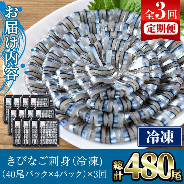＜定期便・全3回(冷凍便)＞鹿児島県産！阿久根のきびなごお刺身セット(計480尾・40尾×4P×3回) 冷凍 魚介類 海鮮 魚 きびなご キビナゴ 刺身 さしみ 刺し身 青魚 子魚 小分け【椎木水産】akn054-14