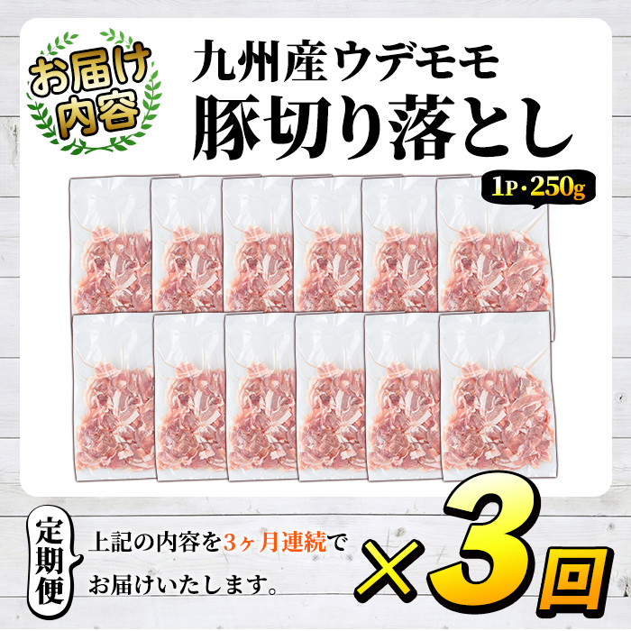 ＜定期便・全3回＞豚肉ウデモモ切り落とし(計9kg・1パック250g) 小分け 国産 豚肉 豚小間 真空パック 家庭用 豚こま 定期便 スライス 冷凍配送 個包装 切り落し 切落し すき焼き しゃぶしゃぶ セット 詰め合わせ 数量限定【三九】akn006-13