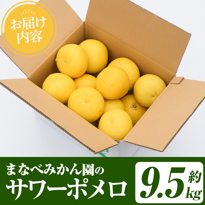 まなべみかん園のサワーポメロ (約9.5kg) 国産 鹿児島県産 阿久根市産 柑橘類 みかん ミカン 蜜柑 果物 フルーツ サワーポメロ 期間限定 数量限定 贈答用 ギフト デザート 【有限会社まなべみかん園】akn034-07