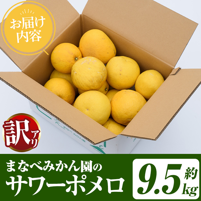 訳あり！まなべみかん園のサワーポメロ (約9.5kg) 国産 鹿児島県産 阿久根市産 柑橘類 みかん ミカン 蜜柑 果物 フルーツ サワーポメロ 期間限定 数量限定 デザート 訳アリ 【有限会社まなべみかん園】akn034-08