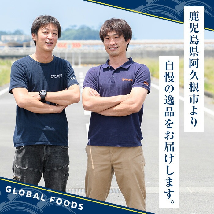 ＜定期便・全3回(隔月)＞骨取り 塩あじ 切身 (計3kg) 大容量 アジ 鯵 骨ぬき 骨抜き 骨なし 海産物 海鮮 おかず 惣菜 焼き魚 お弁当 切り身 ジップロック チャック付き袋 小分け 簡単調理 定期便 【グローバルフーズ】akn061-52