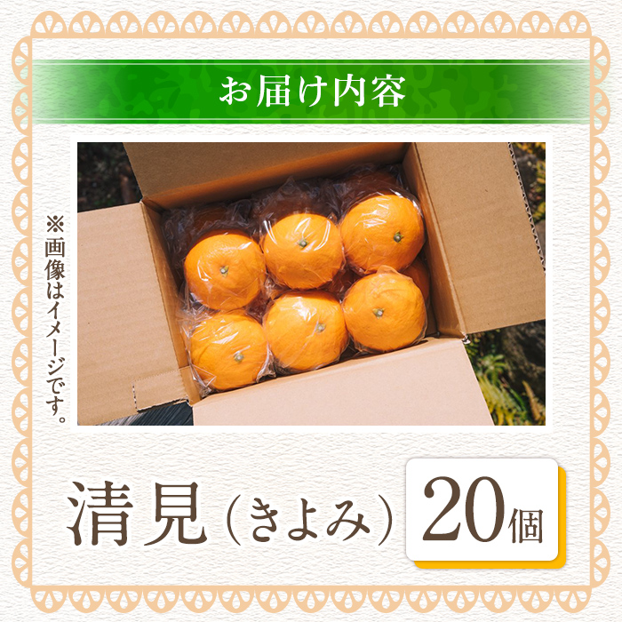 ＜2026年4月上旬以降順次発送予定＞数量限定！鹿児島県産 清見 (20個・2L) 柑橘 フルーツ 果物 国産 みかん 期間限定 きよみ キヨミ ミカン【株式会社イロドリ】akn069-09