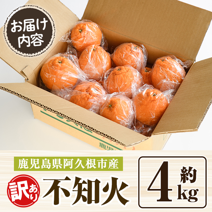 ＜2026年3月上旬以降順次発送予定＞訳あり！露地栽培の不知火(4kg) 国産 不知火 しらぬい 柑橘 果物 フルーツ デザート 露地 果実 期間限定 数量限定 【古田果樹園】akn093-03