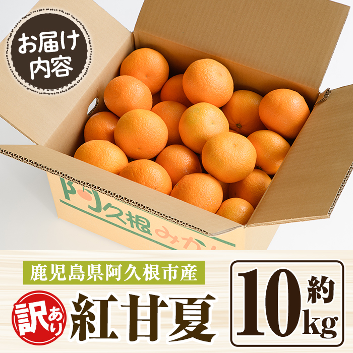 ＜2026年2月上旬以降順次発送予定＞訳あり！紅甘夏(10kg) 国産 紅甘夏 柑橘 果物 フルーツ デザート 果実 期間限定 数量限定 【古田果樹園】akn093-04