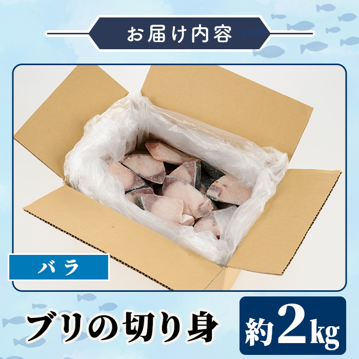 ＜2025年11月以降順次発送予定＞ブリの切り身(バラ・約2kg) 国産 鹿児島県産 ブリ 鰤 魚貝 魚介 海産物 焼き魚 煮つけ ブリカツ バラ 【株式会社島水】akn102-02
