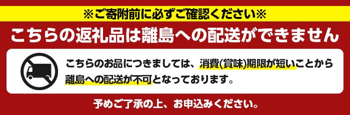 ＜訳あり＞さつまあげ(プレーン・計23個) さつまあげ さつま揚げ 薩摩揚げ つけあげ 練り物 練物 おかず おつまみ 海産物【椎木水産】akn054-01