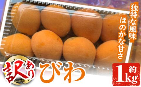 ＜2026年5月上旬以降順次発送予定＞数量限定！訳あり びわ(約1kg) 阿久根市 フルーツ 果物 デザート 甘味 酸味 果肉 果汁【松永青果】akn053-10