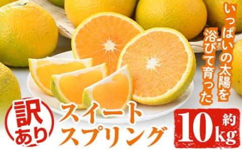＜2025年12月中旬以降順次発送予定＞訳ありスイートスプリング(約10kg) 鹿児島県 阿久根市 フルーツ 果物 デザート 柑橘 甘味 果肉 果汁【松永青果】akn053-11