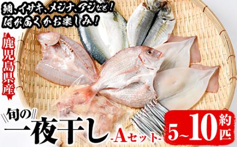 数量限定！阿久根市産の旬の一夜干しグルメ＜A＞セット(鯛・アジ・イカ・サバなど)国産 鮮魚 詰め合わせ お楽しみ 海の幸 魚介類 干物 海鮮【さるがく水産】akn028-06