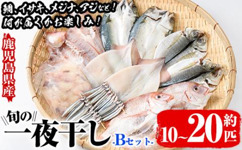 数量限定！阿久根市産の旬の一夜干しグルメ＜B＞セット(鯛・アジ・イカ・サバなど)国産 鮮魚 詰め合わせ お楽しみ 海の幸 魚介類 干物 海鮮【さるがく水産】akn028-18