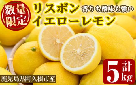 ＜2025年12月中旬以降順次発送予定＞数量限定！リスボンイエローレモン(5kg) 国産 果実 果物 リスボンレモン フルーツ 檸檬 柑橘 デザート 期間限定【桐野柑橘株式会社】akn070-15