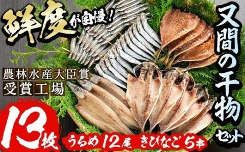 鹿児島県産！干物詰め合わせ(5種)国産 九州産 魚介 ひもの 干物 乾物 鯵 あじ かますな きびなご ウルメ セット 詰合せ【又間水産】akn001-02